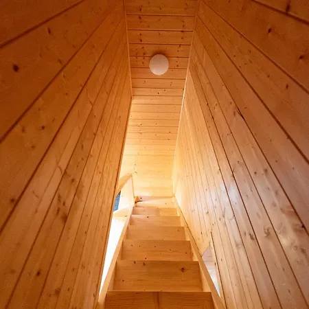 Nad Brzozowym Stawem Kościerzyna