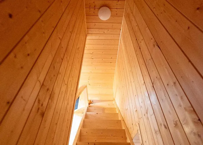 Nad Brzozowym Stawem Kościerzyna