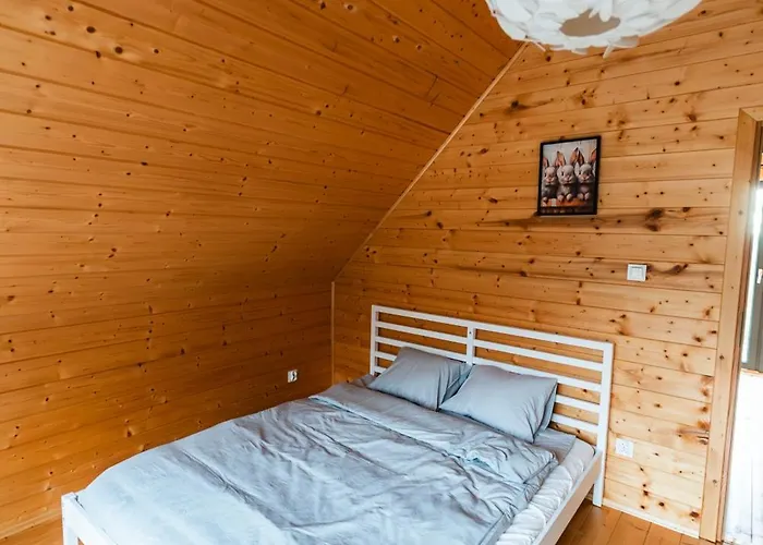 Nad Brzozowym Stawem Prázdninový dům *