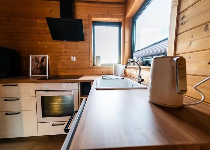 Nad Brzozowym Stawem Prázdninový dům